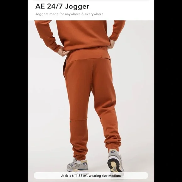 NWT American Eagle Outfitters 24/7 Good Vibes Joggers - Rust, medium - Picture 5 of 5